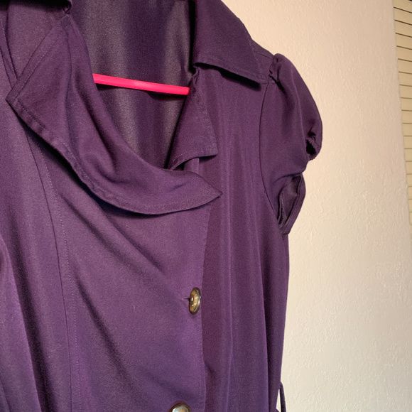 The Limited Purple Dress - Picture 5 of 5